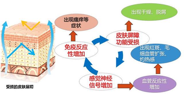 第2004页