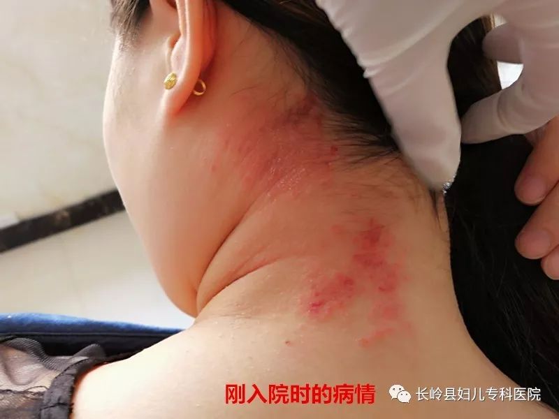 寻春 第333页