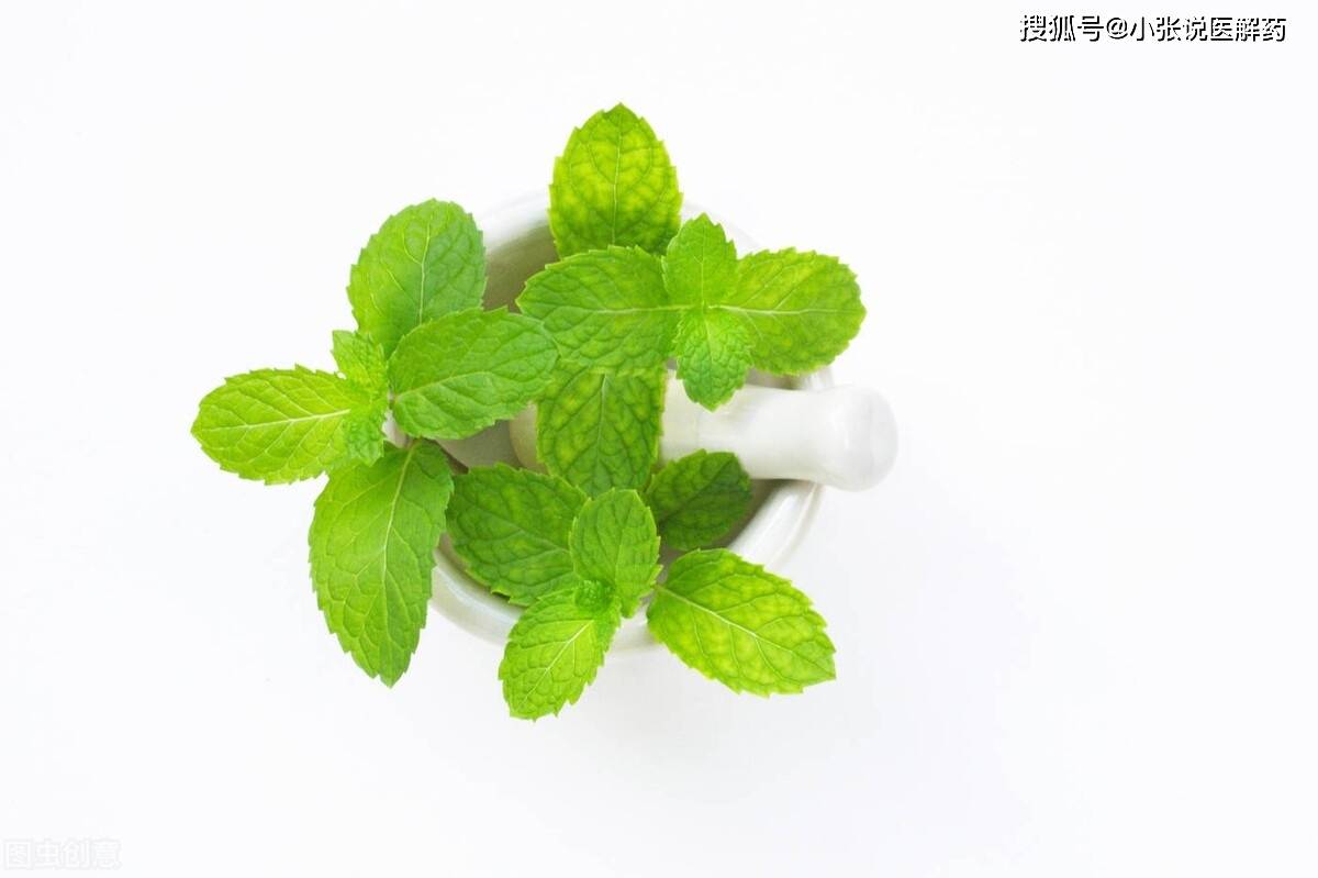7种草药治皮肤瘙痒，自然之恩赐的舒缓良方