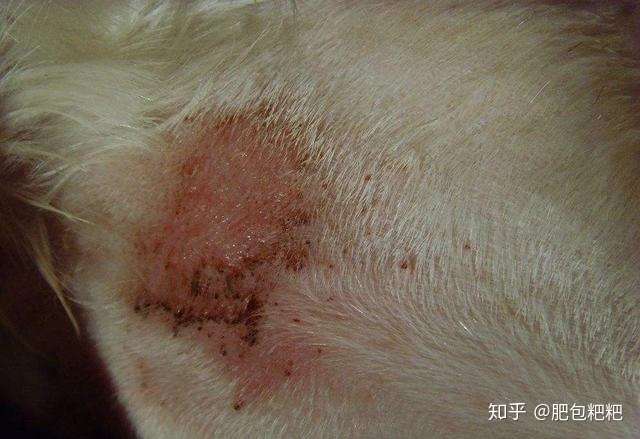 admin 第323页