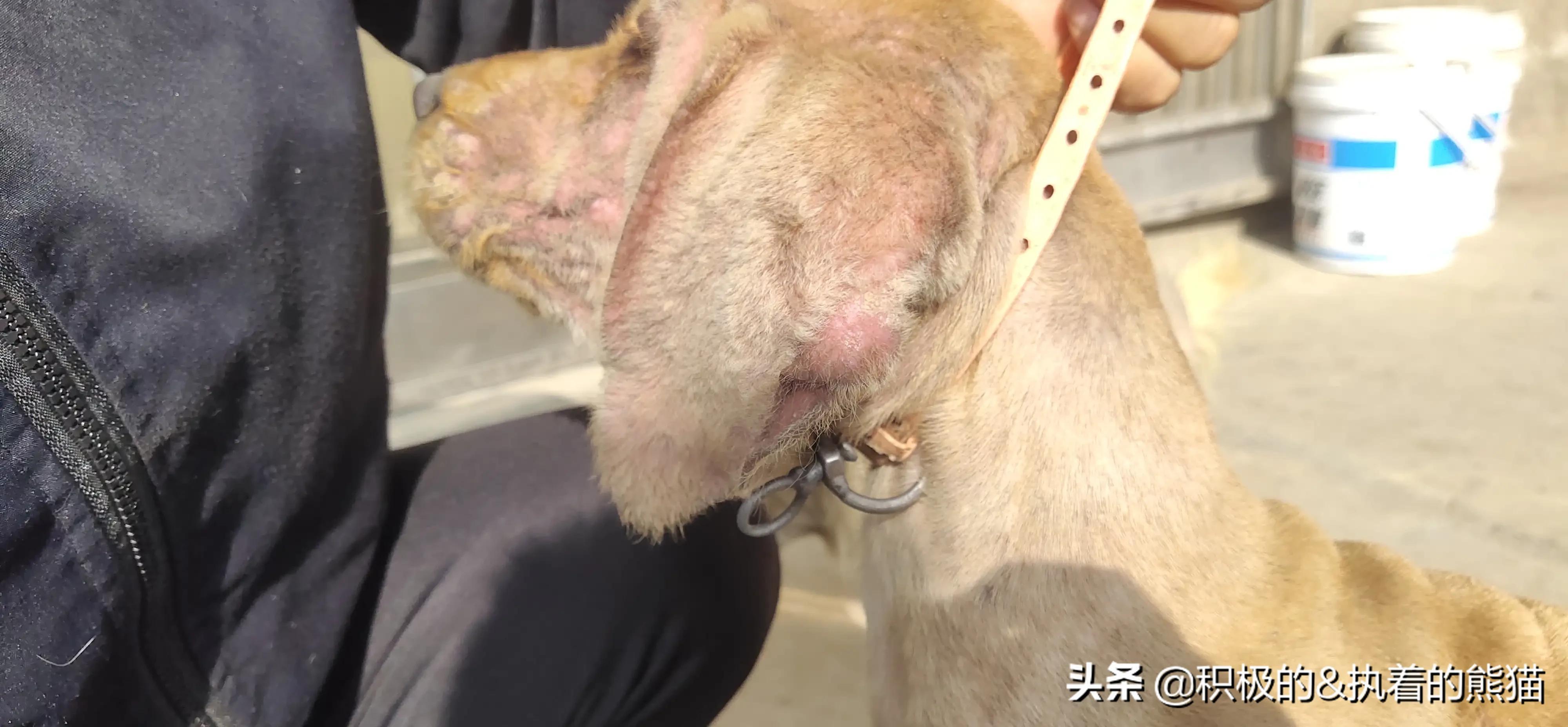寻春 第329页