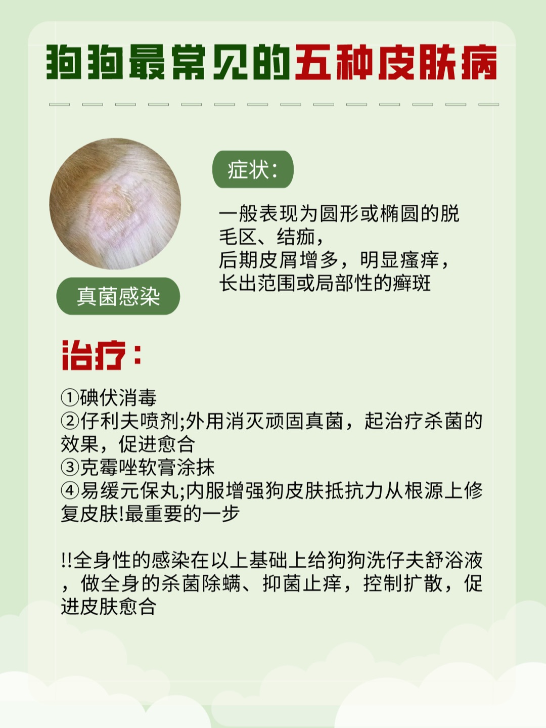 超逸绝尘 第324页
