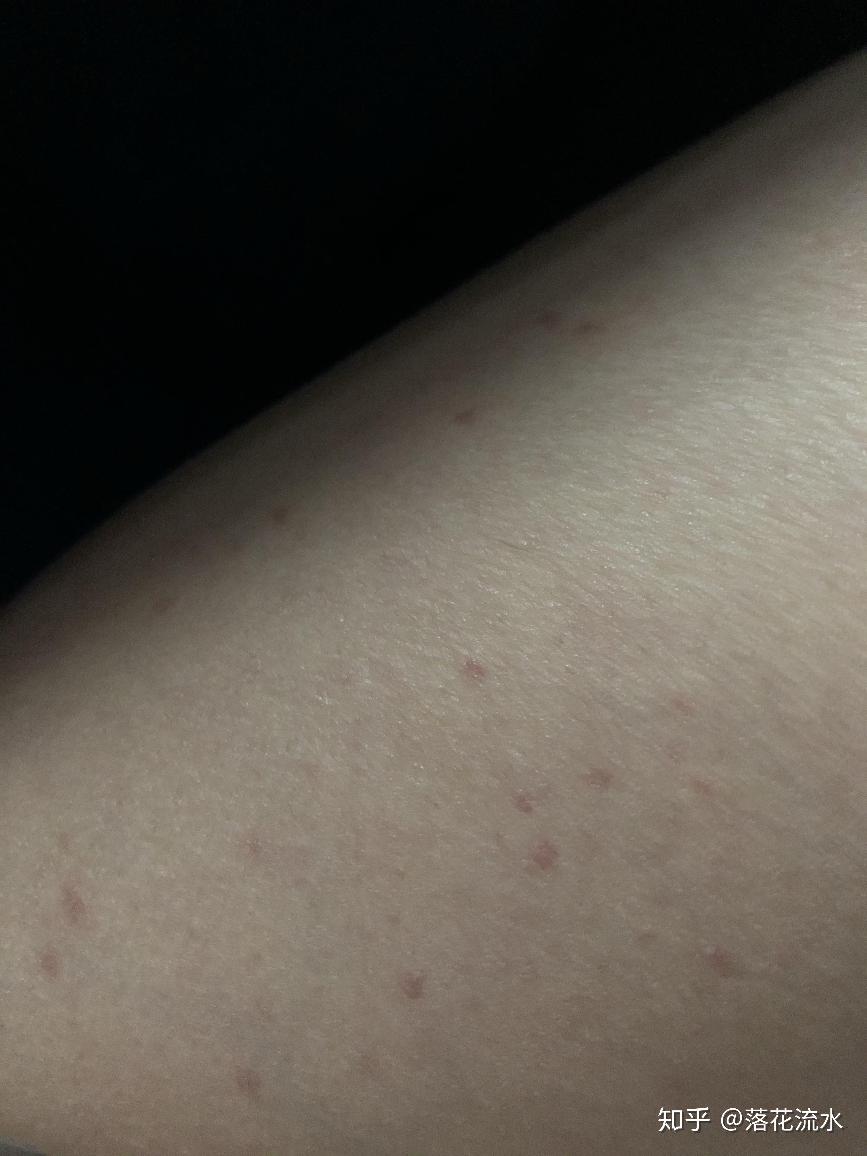 admin 第308页