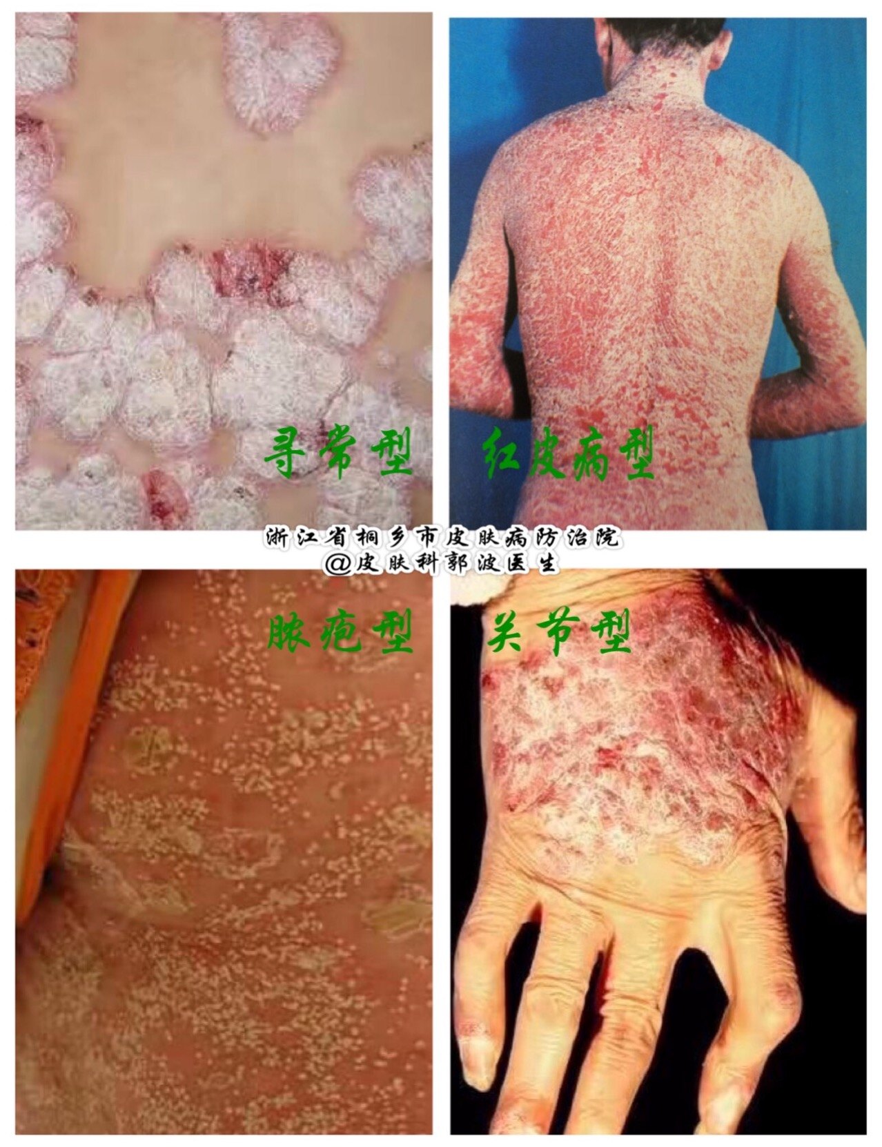 寻春 第308页