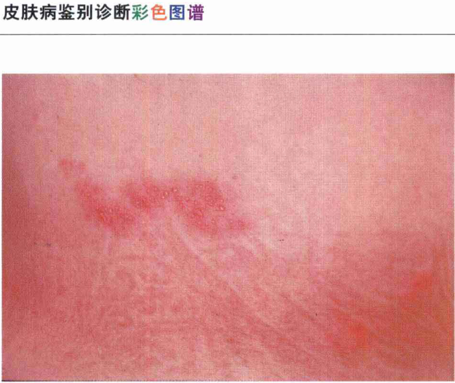 新闻中心 第459页