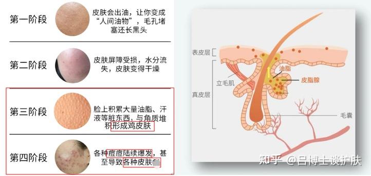第1776页