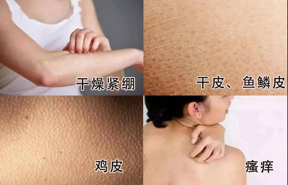 第1769页
