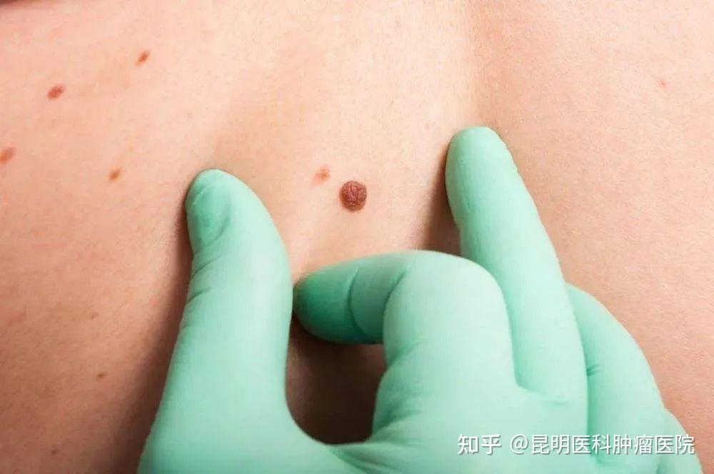 超逸绝尘 第338页