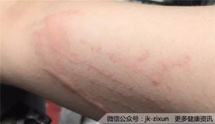 寻春 第294页