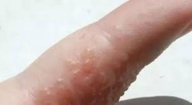 医院概况 第502页