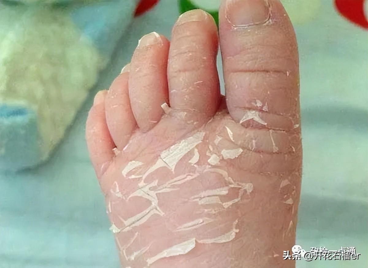 超逸绝尘 第280页