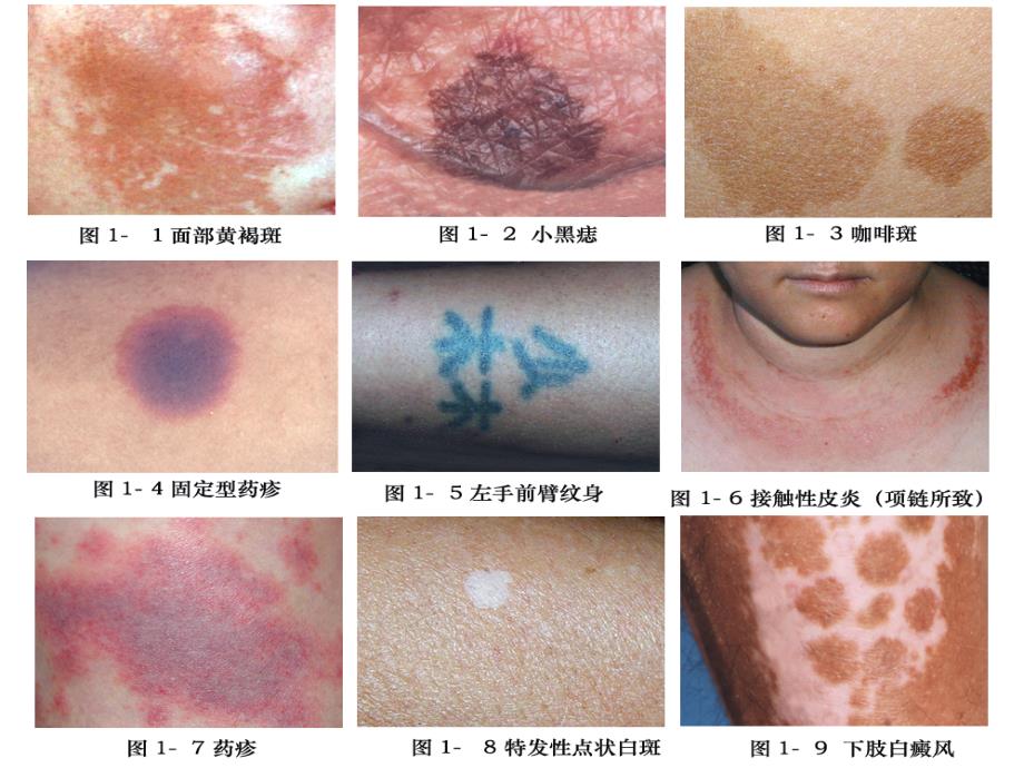 admin 第269页