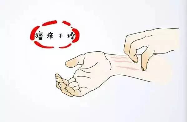 寻春 第265页