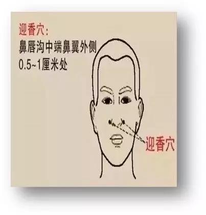 快速缓解皮肤过敏红肿痒的实用指南