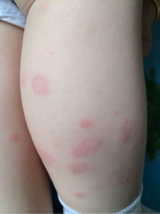 寻春 第264页
