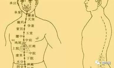 寻春 第259页