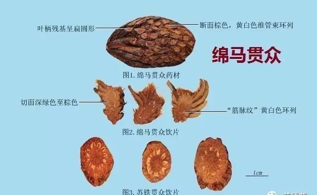 新闻中心 第395页