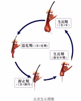 寻春 第249页