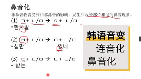 头发的拼音与发音探索
