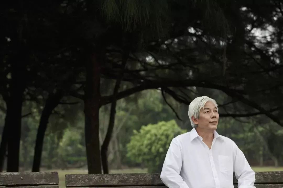 头发变白后能否再次变黑，科学探索与日常实践