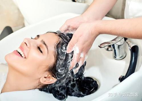 寻春 第240页