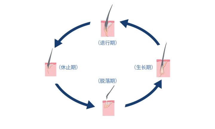 管家婆精准三肖三码期期准，揭秘与警示
