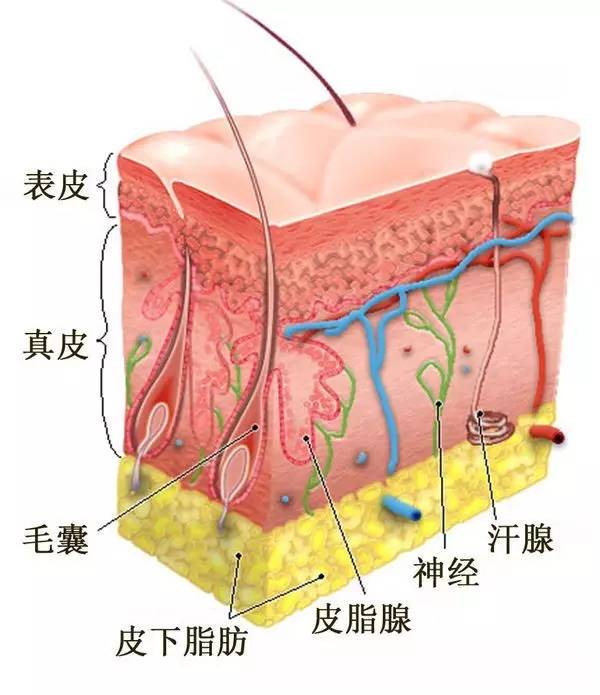 第1478页