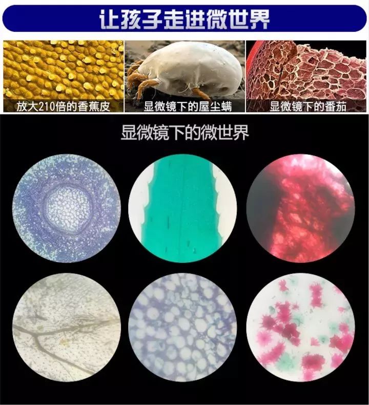 望水苍梁 第228页