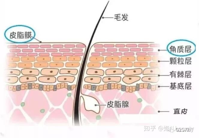 全身皮肤痒，探寻背后的原因与应对策略