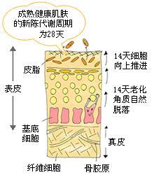 揭秘今晚澳门与香港的幸运一肖一码——理性与幸运的交织