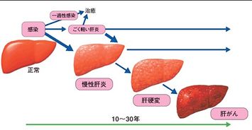 千兰 第225页