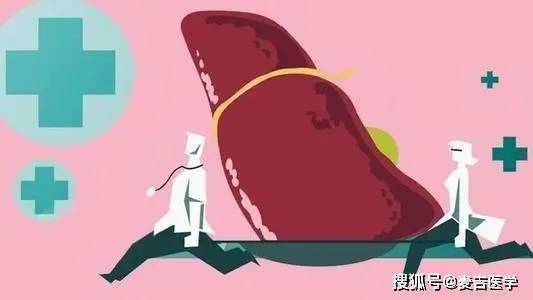 肝脏求救，科学用药与日常养护的双重策略