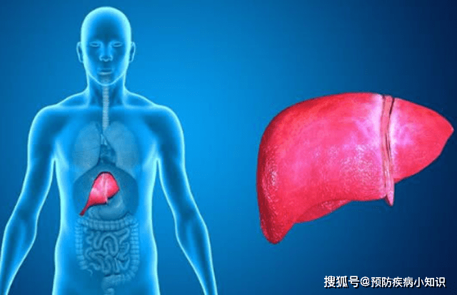 肝脏不好，脸上会泄露哪些秘密？