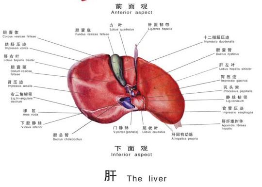 医院简介 第318页