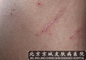 2025年2月 第777页