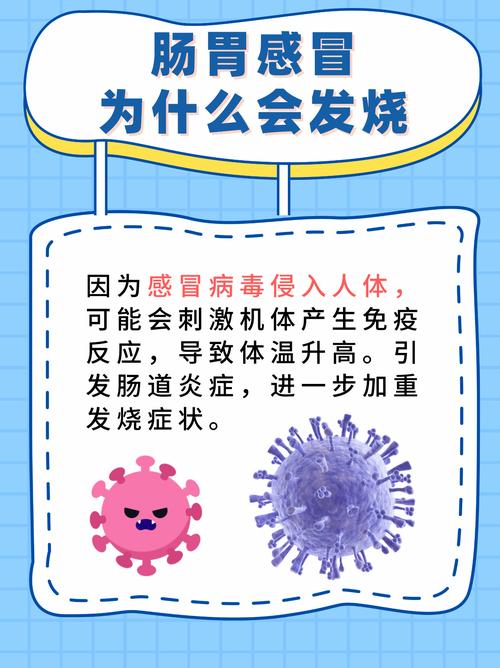 警惕网络赌博陷阱，切勿相信今晚澳门必中一肖一码的虚假宣传
