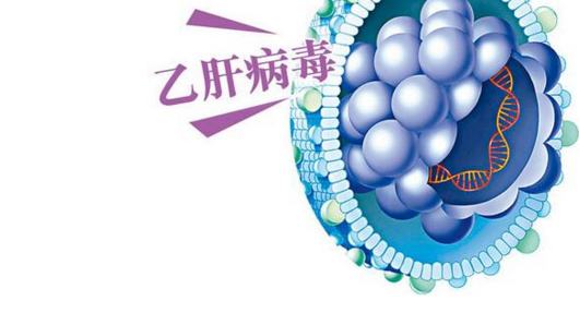 肝脏健康，科学养肝护肝的用药指南