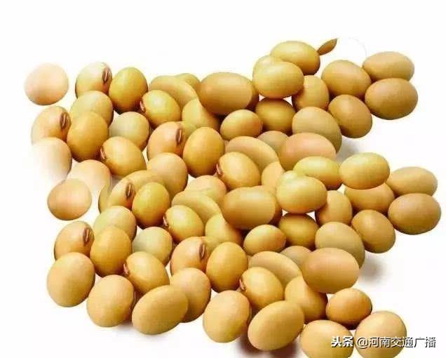 细菌感染的肠胃炎，成因、症状与预防策略