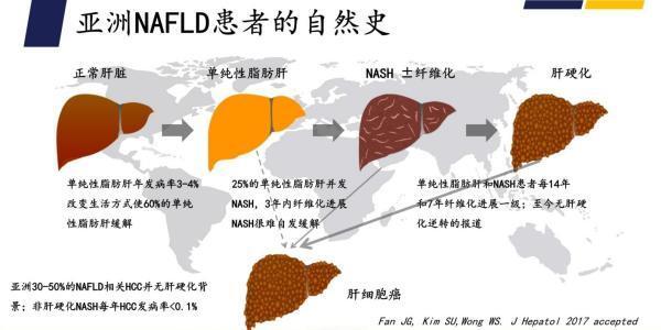 澳门2022精准一肖一码资料，理性看待彩票，切勿沉迷