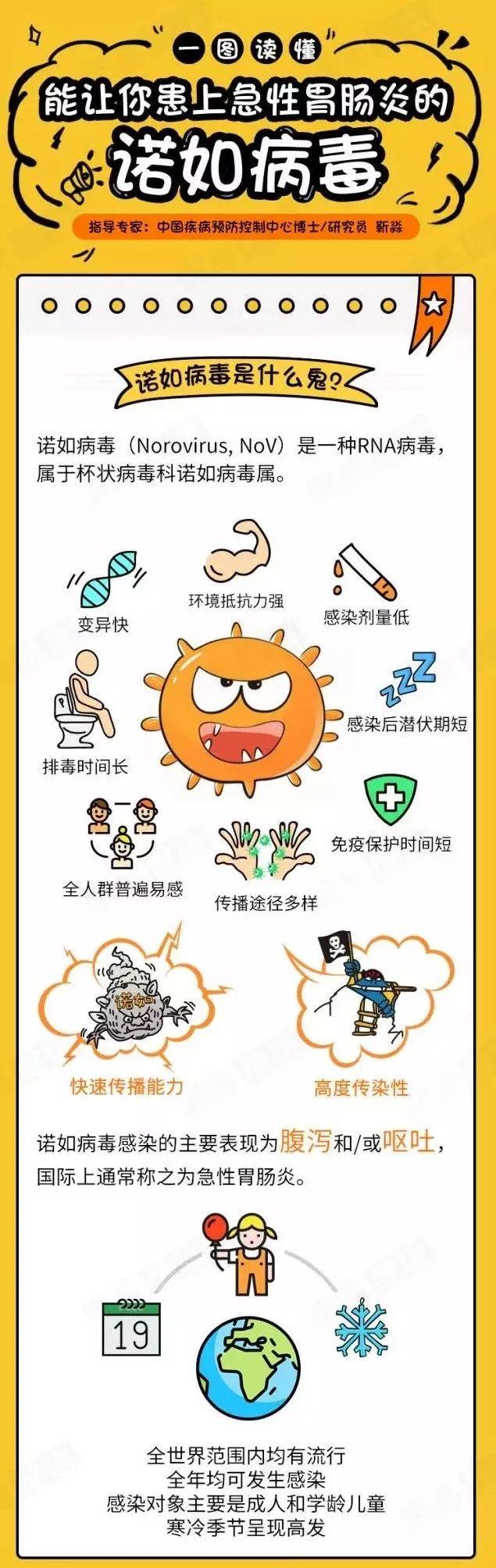急性肠胃炎的症状，认识与应对