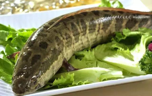手术后吃什么，促进伤口愈合与补血的饮食指南