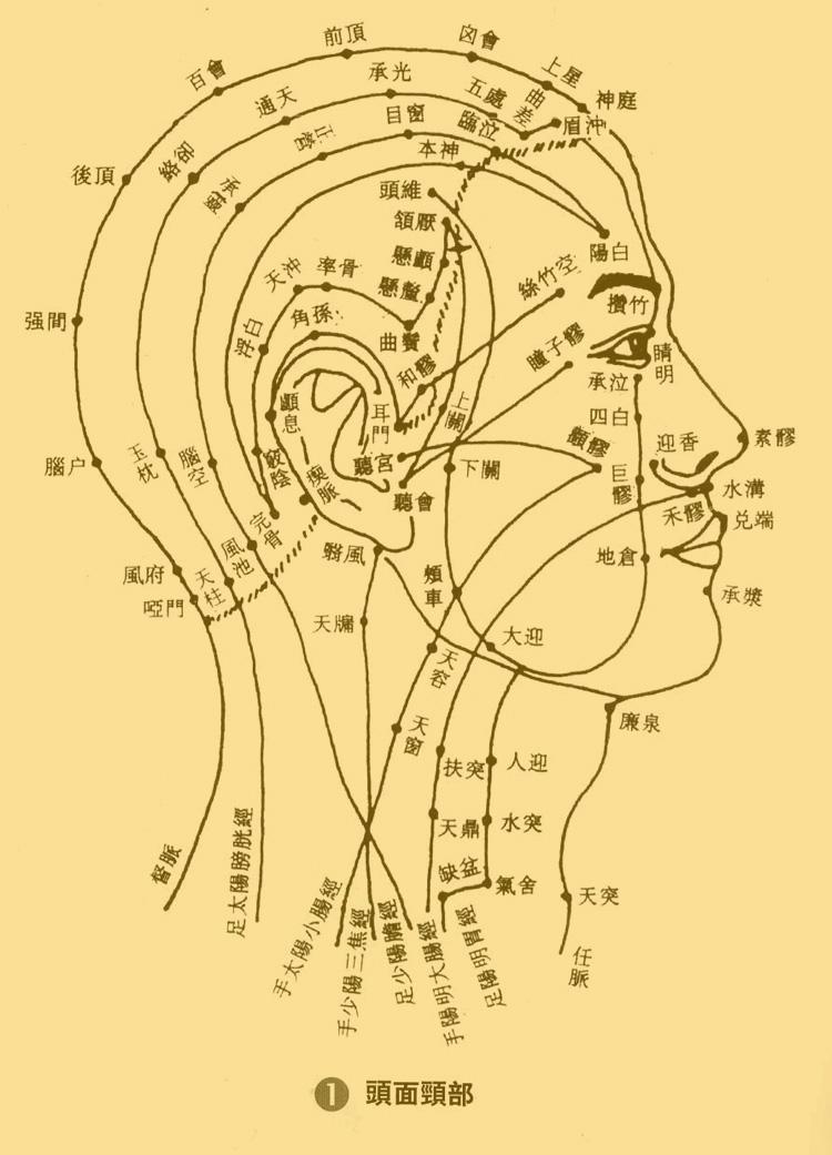 穴位疗法，解锁治疗耳鸣的自然之钥