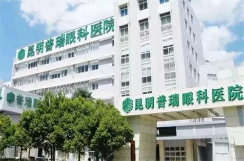 寻春 第125页