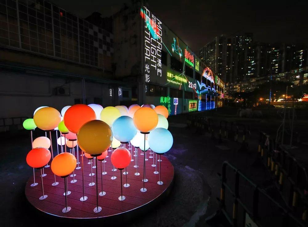 澳门跑狗图，2019年回顾与解析