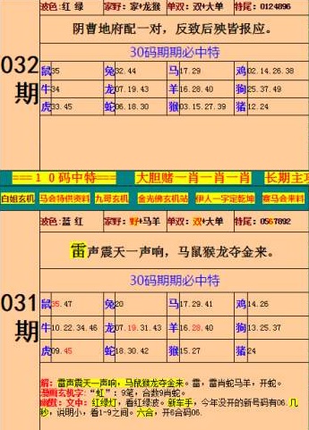 揭秘新澳门内部资料精准大全软件，真相与风险并存