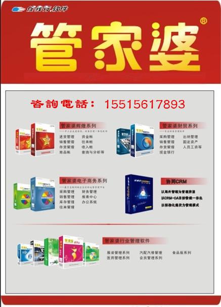 管家婆2025资料精准大全，解锁企业管理的智慧钥匙