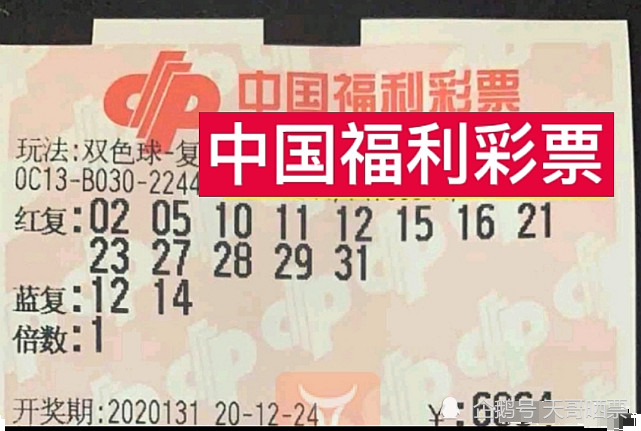 澳门今天开奖结果揭晓，幸运与希望的交汇