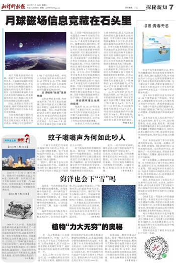 探索新知，揭秘比思论坛最新地址的奥秘
