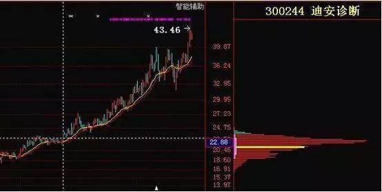澳门六个赌牌的深度解析，背后的意义与影响