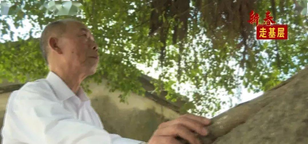澳门六哥，传奇人物与神秘面纱